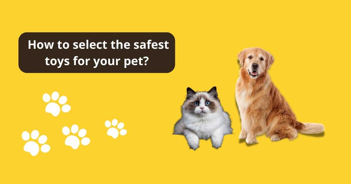 How to select the safest toys for your pet?