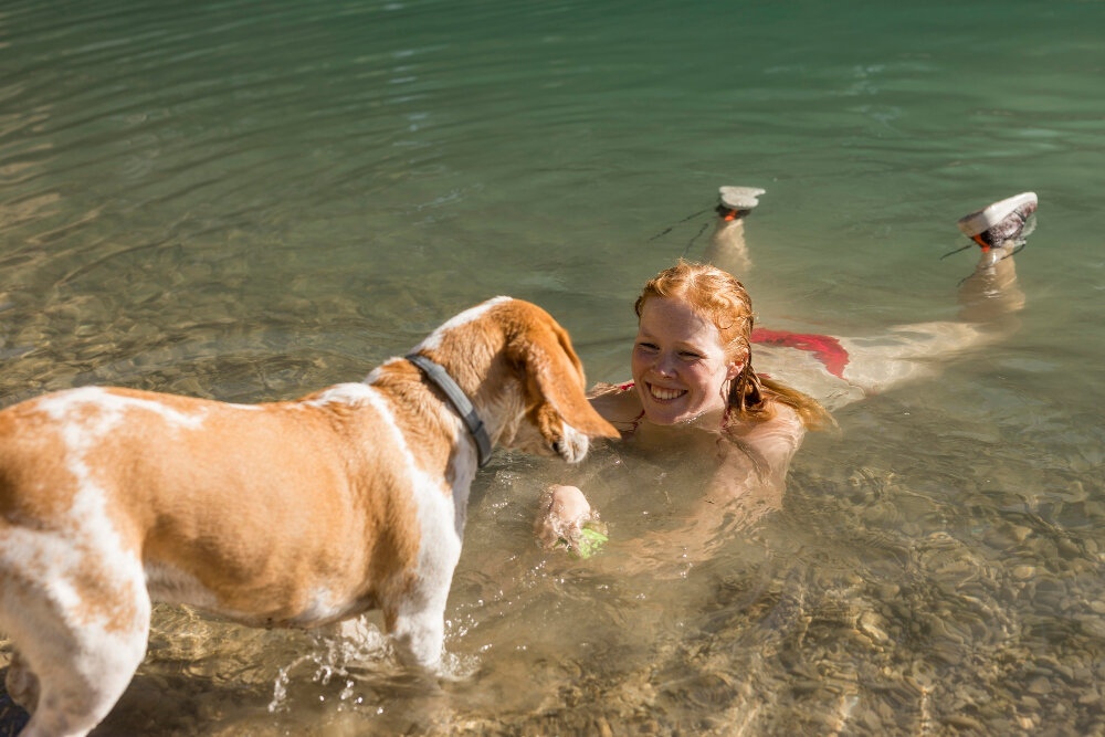 Summer Activities to Enjoy with Your Dog