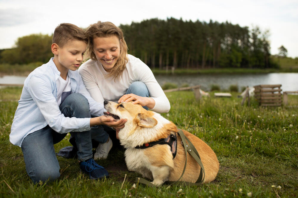 How to Care for the Mother Dog